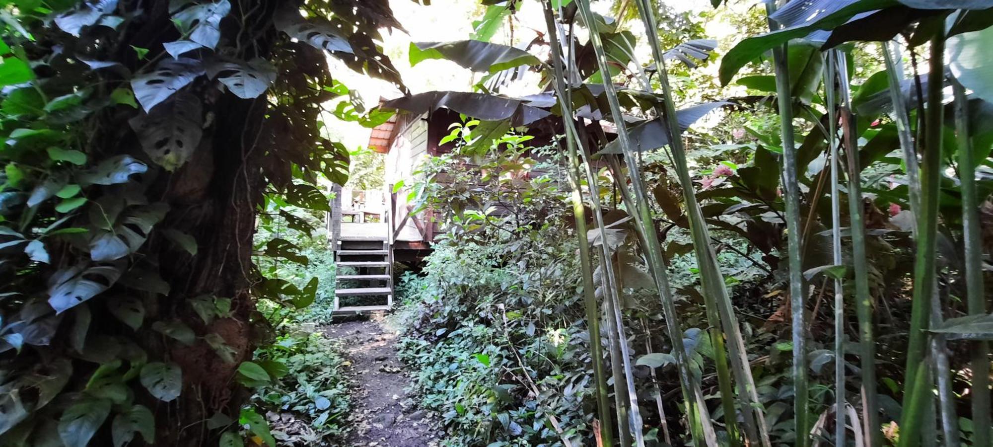 Mombacho Lodge Granada Eksteriør bilde