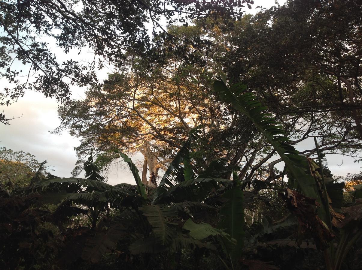Mombacho Lodge Granada Eksteriør bilde